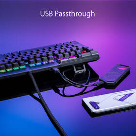 Klávesnice Asus ROG STRIX FLARE II (ROG NX RED / PBT ) - US černá

 obrázek produktu 12 z 12