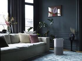 Čistička vzduchu Electrolux PA91-404GY šedá

 obrázek produktu 10 z 14