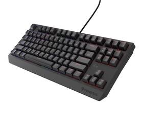 Klávesnice Genesis THOR 230, TKL, RGB, Outemu Red, CZ-SK layout černá

 obrázek produktu 15 z 19