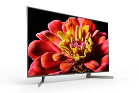 Televize Sony KD-49XG9005 
