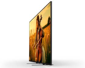 Televize Sony Bravia 5 55" 
