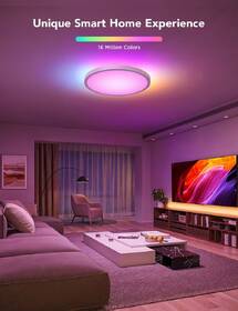 Stropní svítidlo Govee Ceiling Light RGBICWW Smart, 2400lm, 30cm, Matter bílé

 obrázek produktu 2 z 7