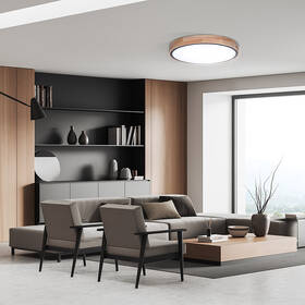 Stropní svítidlo Solight Iron Oak, 48W, s dálkovým ovladačem, 3360lm, 40cm, stmívání, studená/neutrální/teplá bílá hnědé

 obrázek produktu 8 z 8