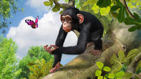 Herní konzole Microsoft 500 GB + Kinect + Sports Rivals + Zoo Tycoon černý

 obrázek produktu 16 z 18