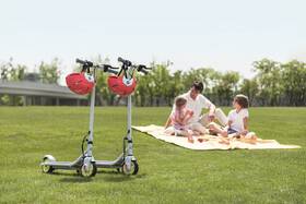 Elektrická koloběžka Ninebot by Segway Zing C10 

 obrázek produktu 19 z 25