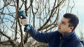 Nůžky na větve Bosch Professional Pro Pruner (s baterií) 

 obrázek produktu 3 z 5