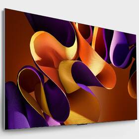 Televize LG OLED65G45LW 
