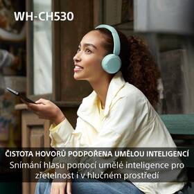 Sluchátka Sony WH-CH530 zelená

 obrázek produktu 15 z 15