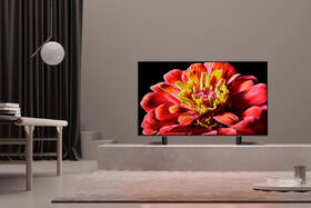 Televize Sony KD-49XG9005 
