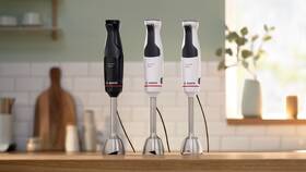 Ponorný mixér Bosch MSM4B654 černý

 obrázek produktu 11 z 13