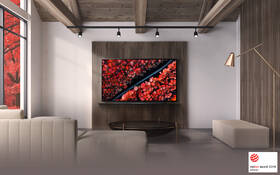 Televize LG OLED65C9 
