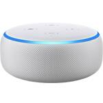 Hlasoví asistenti Google Home